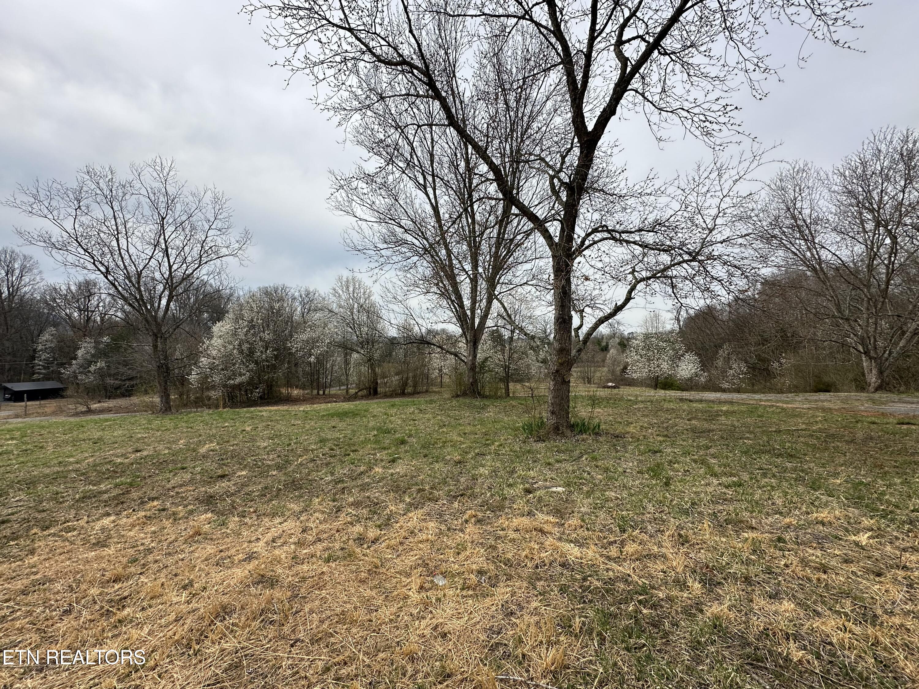 538 County Road 804