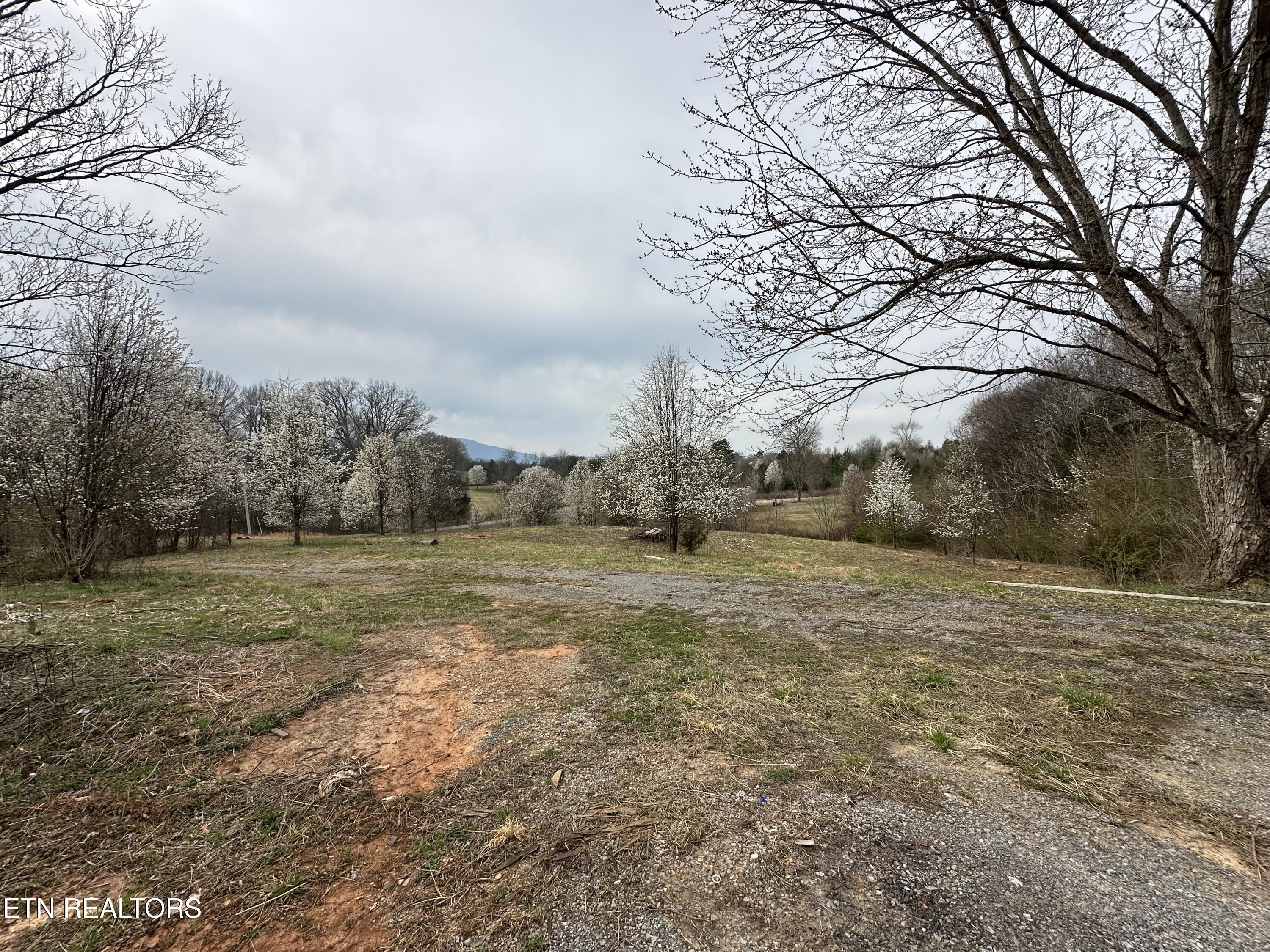 538 County Road 804