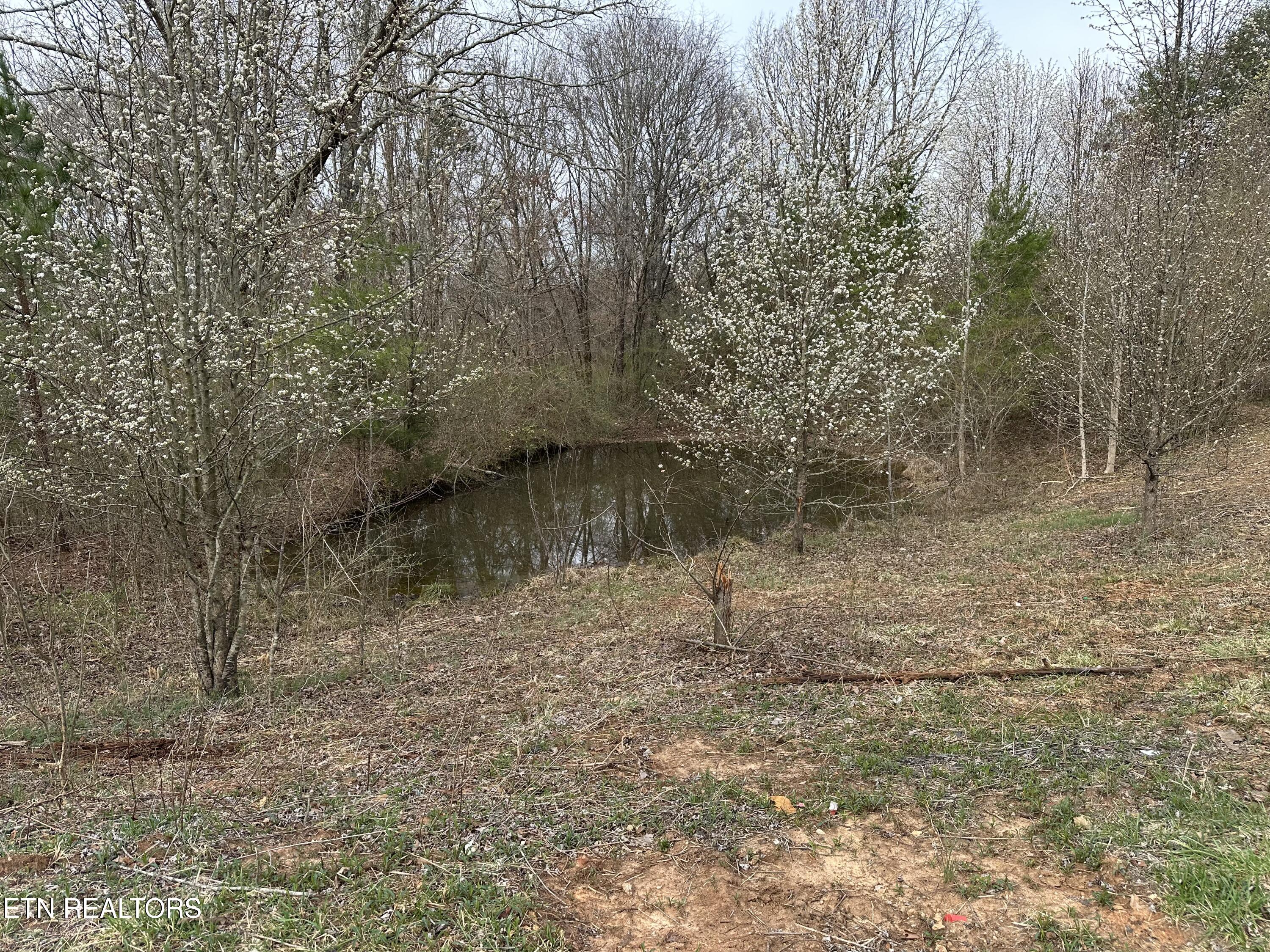 538 County Road 804