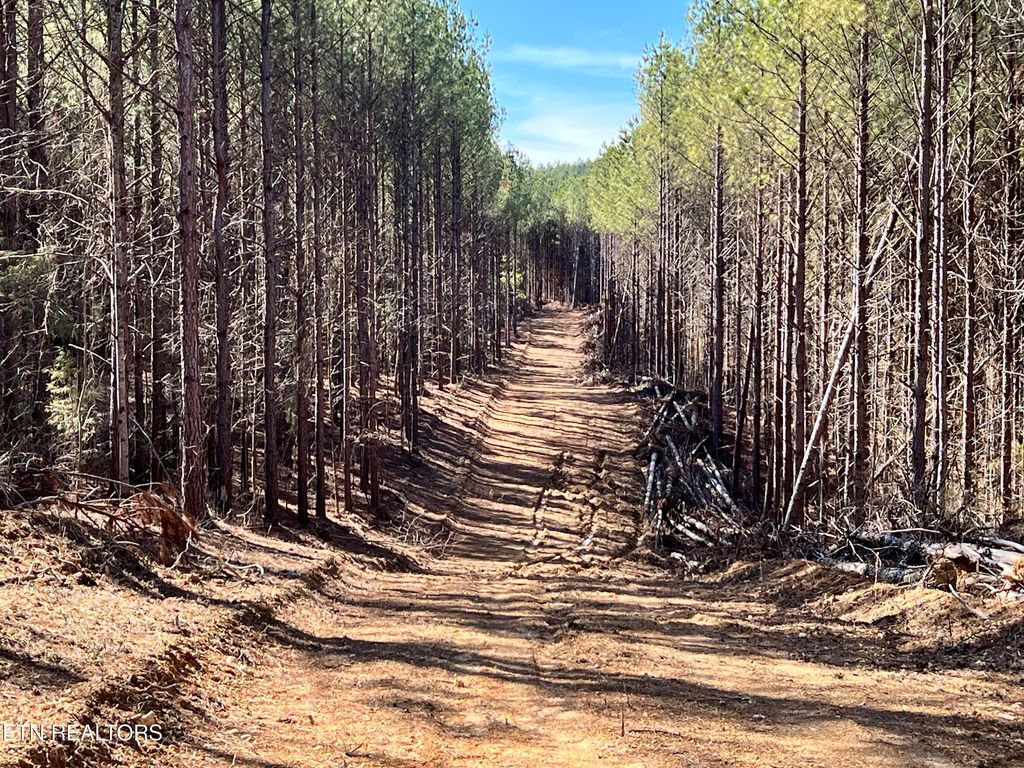 Photo of Lot 18 Sam Davis Road, Decatur, TN 37322 (MLS # 1293559)