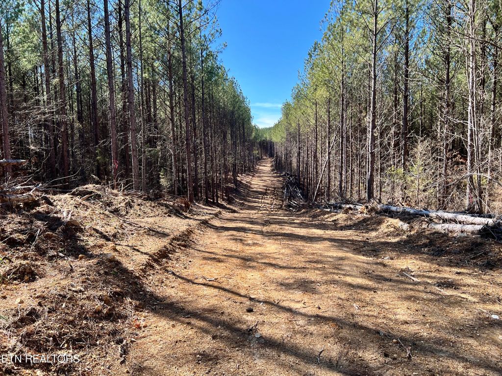 Photo of Lot 18 Sam Davis Road, Decatur, TN 37322 (MLS # 1293559)