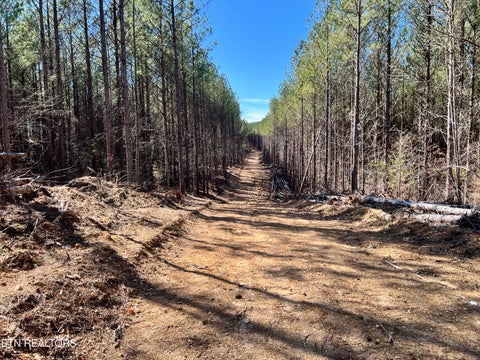 Tiny photo for Lot 18 Sam Davis Road, Decatur, TN 37322 (MLS # 1293559)