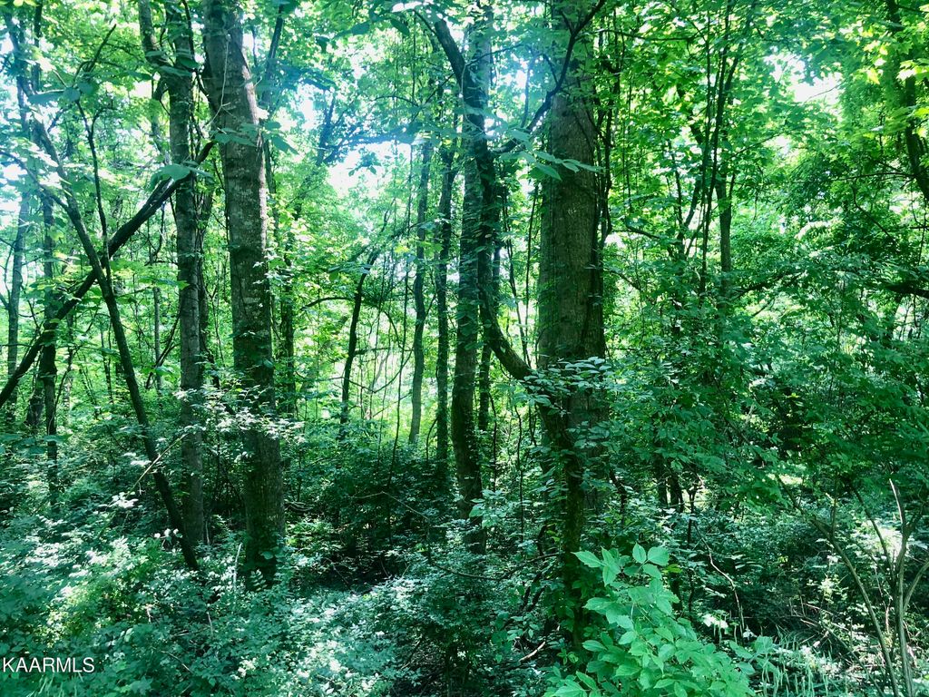 Photo of Opal St, Tazewell, TN 37879 (MLS # 1232287)