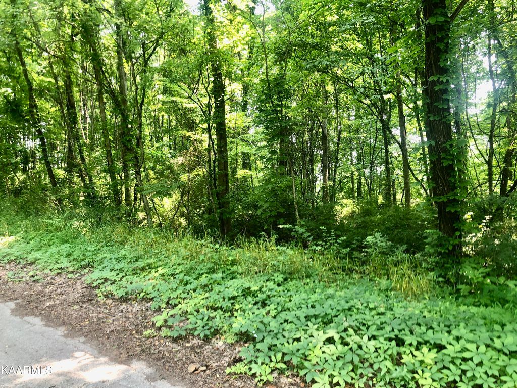 Photo of Opal St, Tazewell, TN 37879 (MLS # 1232287)