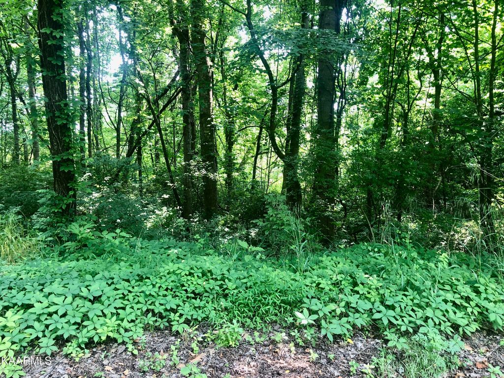 Photo of Opal St, Tazewell, TN 37879 (MLS # 1232287)