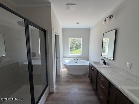 Tiny photo for 602 Reed Drive, Powell, TN 37849 (MLS # 1335436)