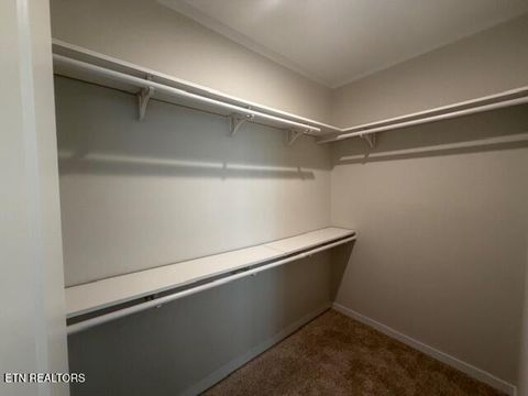 Tiny photo for 602 Reed Drive, Powell, TN 37849 (MLS # 1335436)