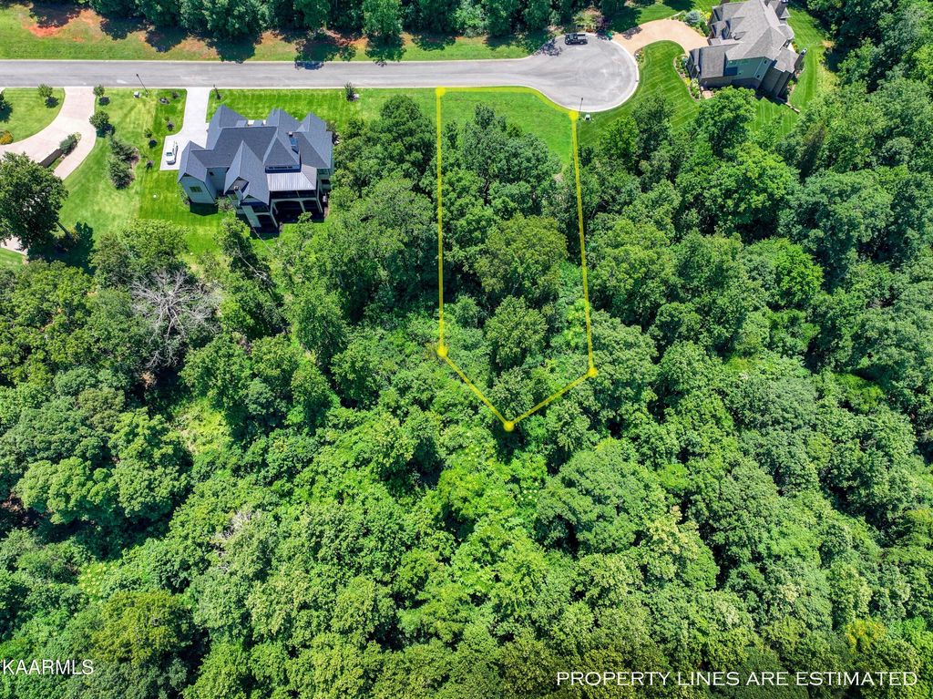 Photo of 3336 Preserve Pointe, Louisville, TN 37777 (MLS # 1233284)