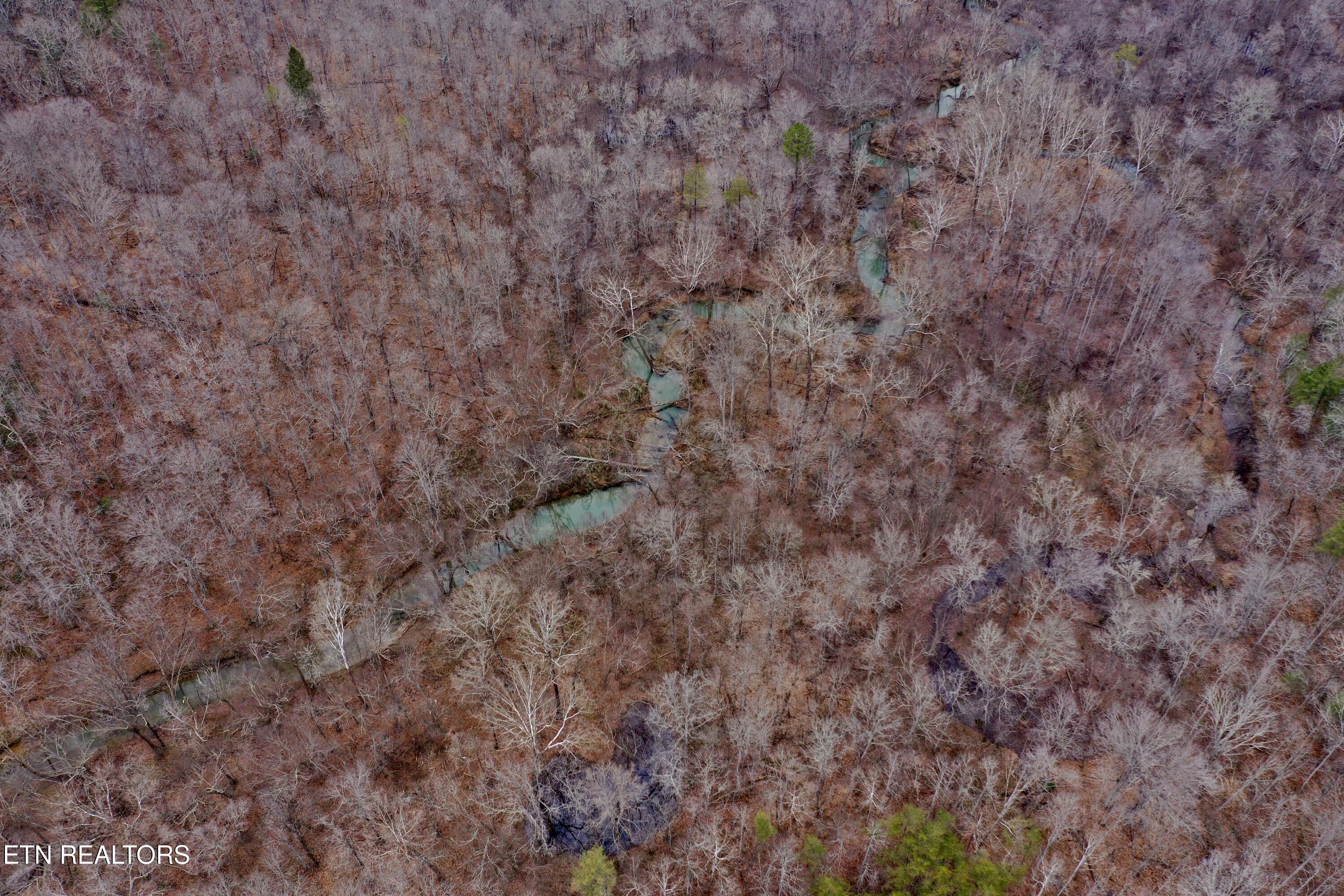 Wolf Creek Rd