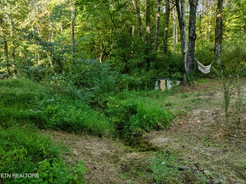 Tiny photo for 4331 Cabbage Drive, Knoxville, TN 37938 (MLS # 1356326)