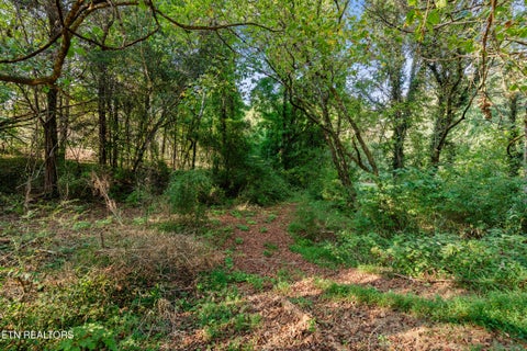 Tiny photo for 4331 Cabbage Drive, Knoxville, TN 37938 (MLS # 1356326)