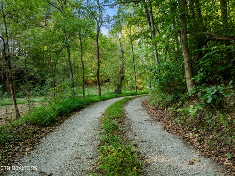 Tiny photo for 4331 Cabbage Drive, Knoxville, TN 37938 (MLS # 1356326)