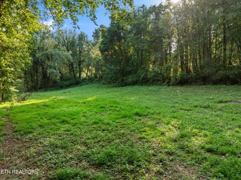 Tiny photo for 4331 Cabbage Drive, Knoxville, TN 37938 (MLS # 1356326)