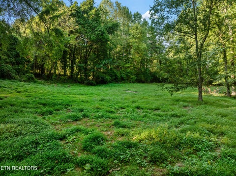 Tiny photo for 4331 Cabbage Drive, Knoxville, TN 37938 (MLS # 1356326)