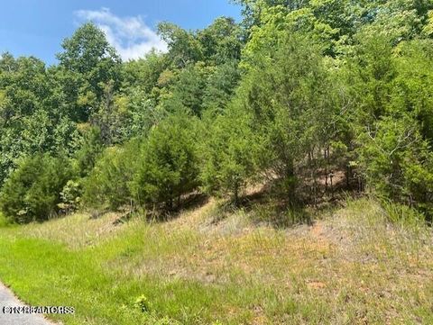 Tiny photo for 492 Citron Lane, New Tazewell, TN 37825 (MLS # 1333157)