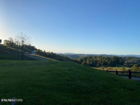 Tiny photo for 492 Citron Lane, New Tazewell, TN 37825 (MLS # 1333157)