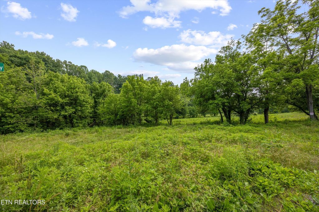 Photo of 5389 Cocke County Line Rd, Cosby, TN 37722 (MLS # 1306416)