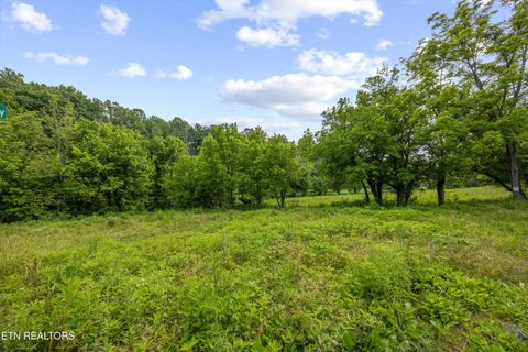 5389 Cocke County Line Rd Cosby TN 37722
