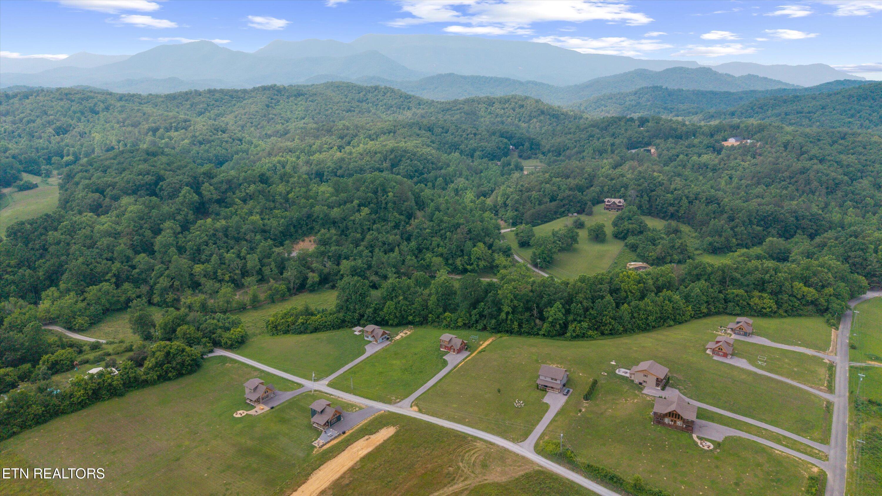5389 Cocke County Line Rd