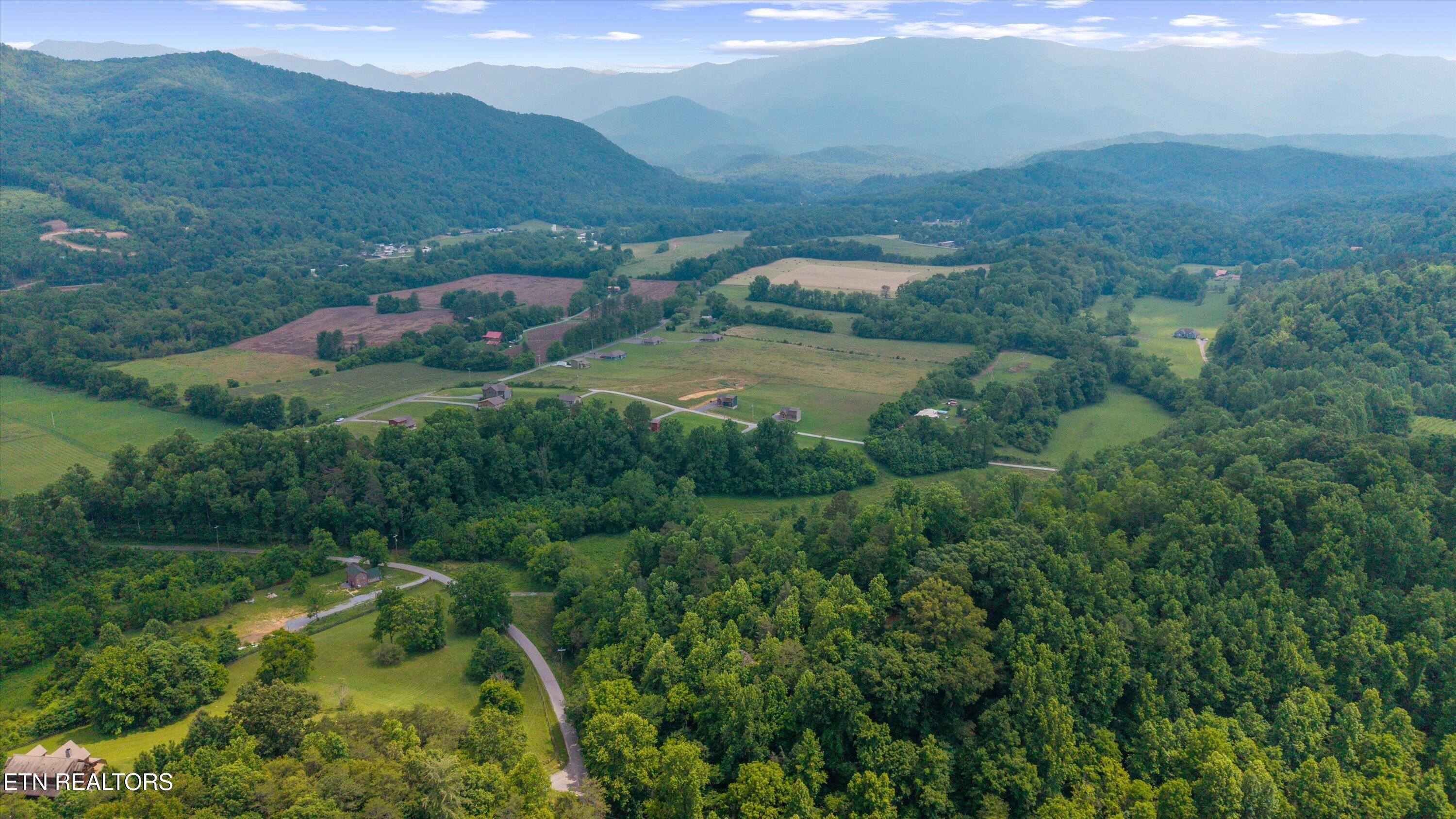 5389 Cocke County Line Rd