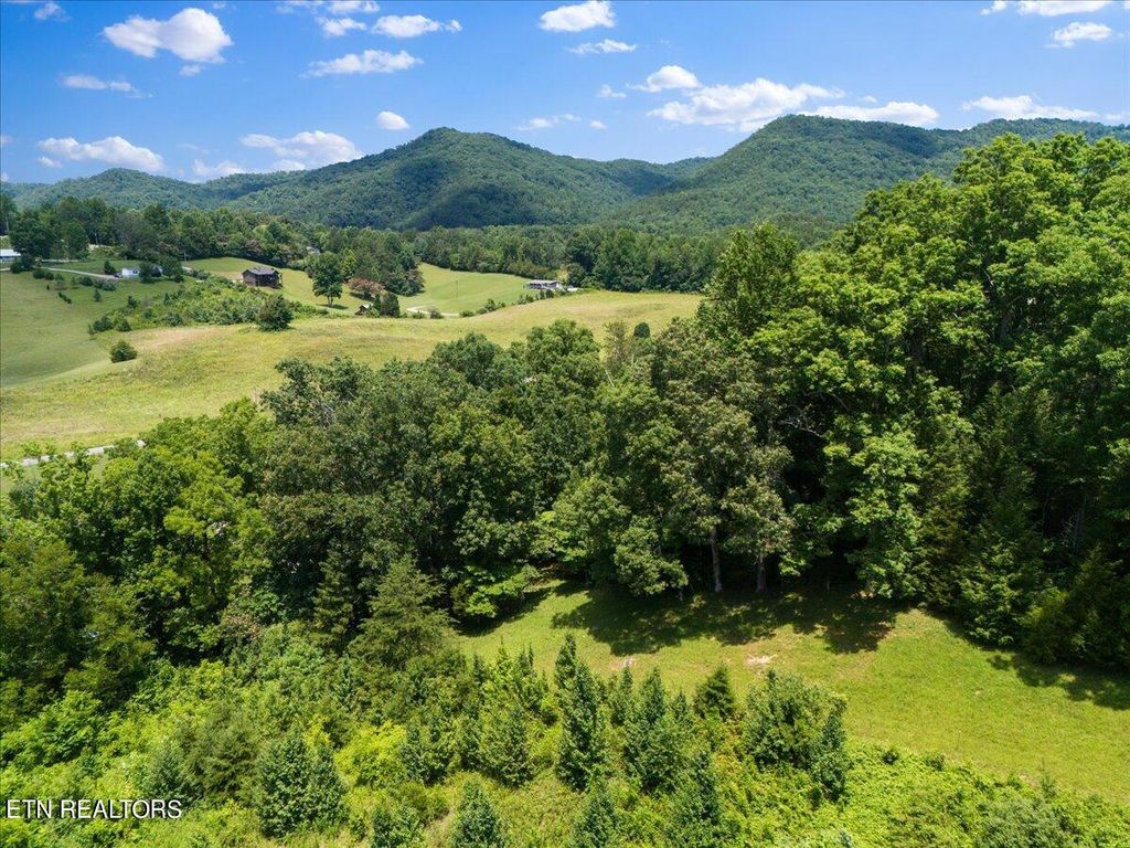 Photo of 512 Lizzie Lane, Townsend, TN 37882 (MLS # 1268644)