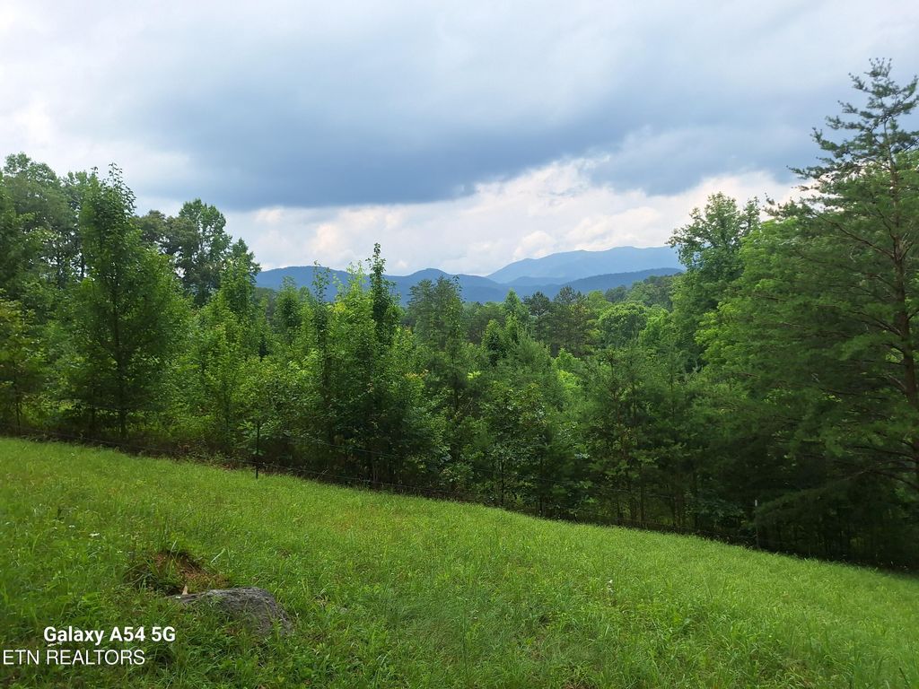 Photo of 512 Lizzie Lane, Townsend, TN 37882 (MLS # 1268644)