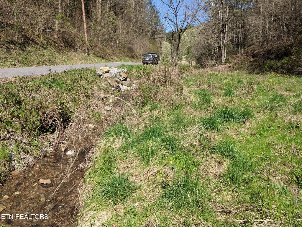 Photo of 760 Black Branch Rd, Del Rio, TN 37727 (MLS # 1340751)