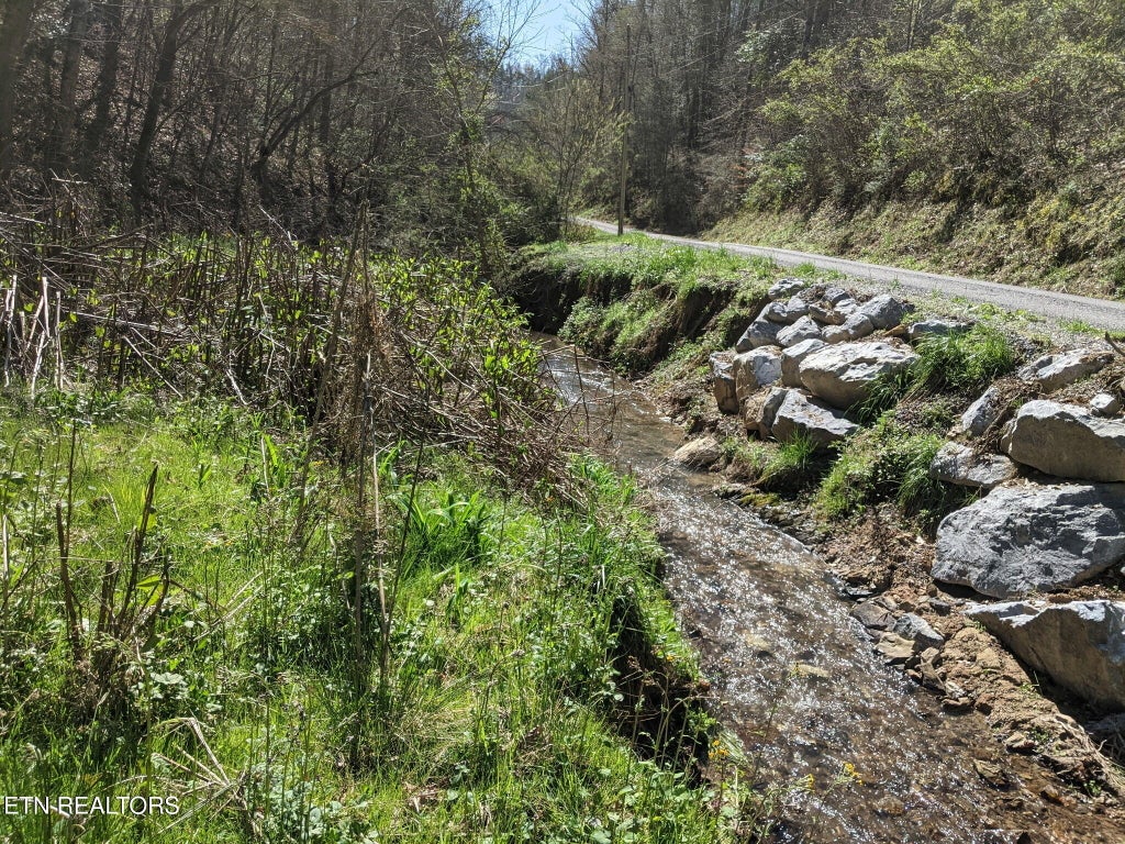 Photo of 760 Black Branch Rd, Del Rio, TN 37727 (MLS # 1340751)