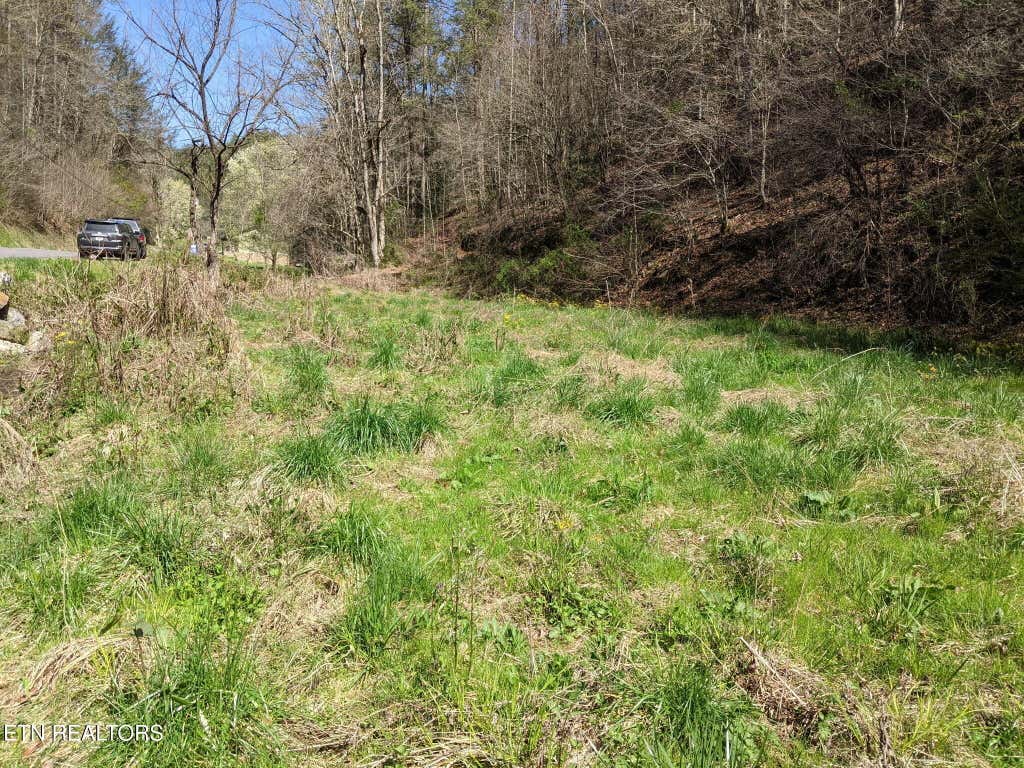 Photo of 760 Black Branch Rd, Del Rio, TN 37727 (MLS # 1340751)