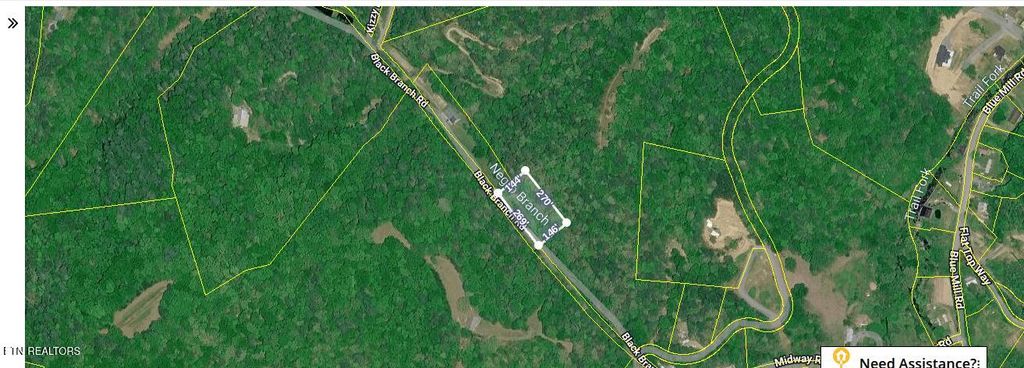 Photo of 760 Black Branch Rd, Del Rio, TN 37727 (MLS # 1340751)