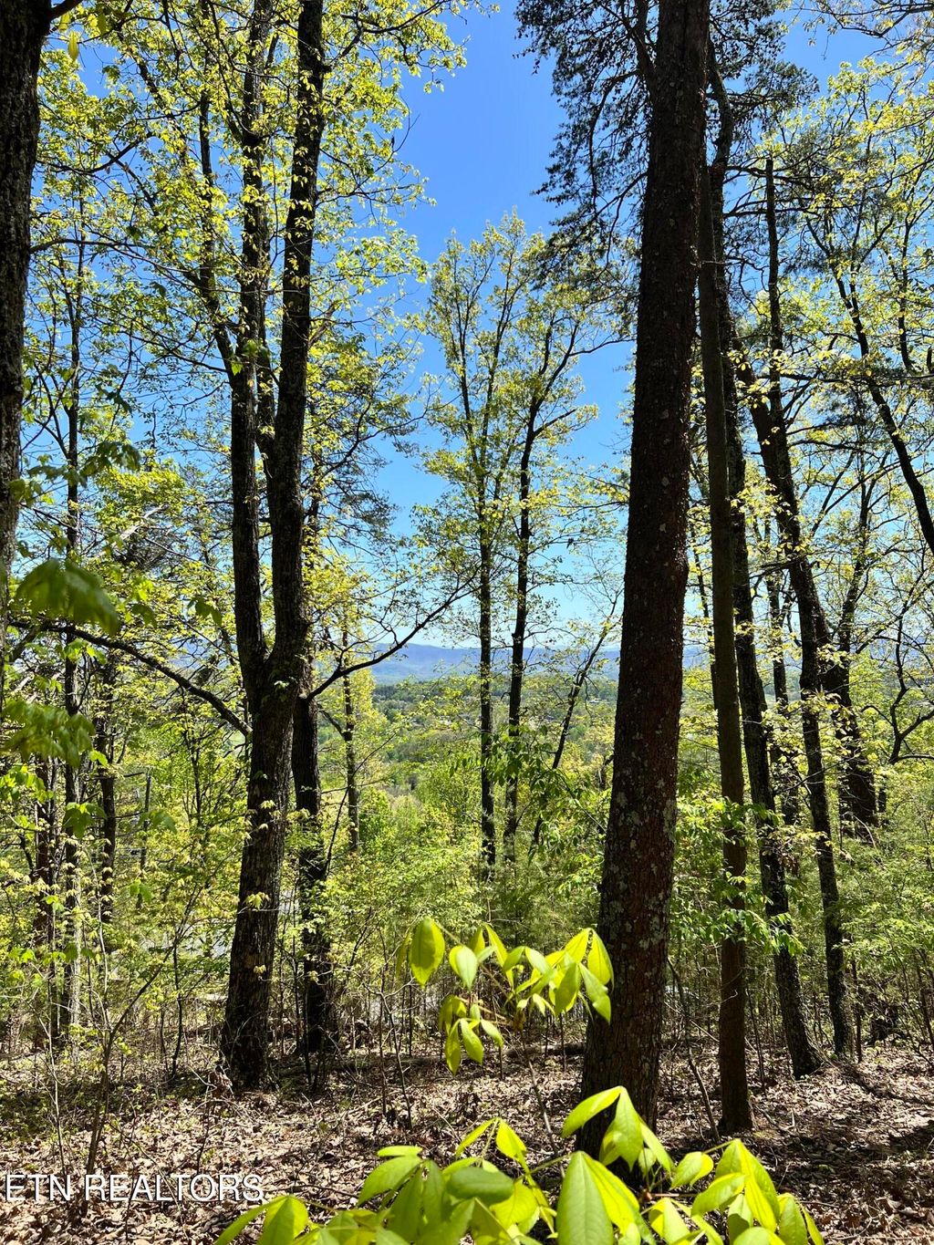 Photo of 658 N Cunningham Rd, Seymour, TN 37865 (MLS # 1299184)