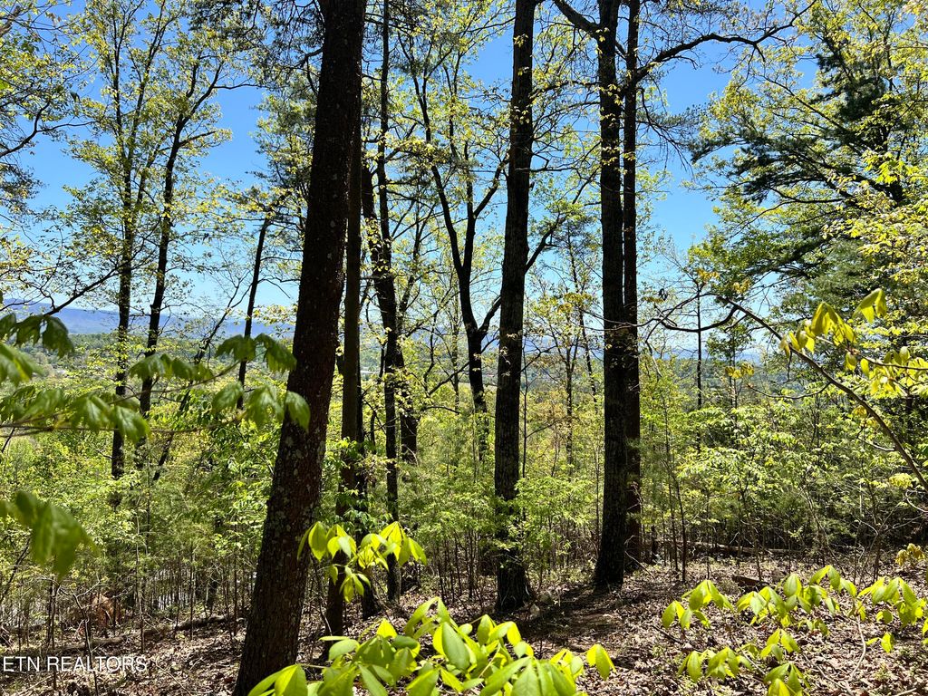 Photo of 658 N Cunningham Rd, Seymour, TN 37865 (MLS # 1299184)