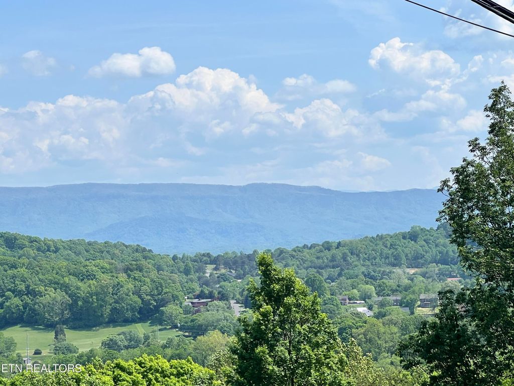 Photo of 658 N Cunningham Rd, Seymour, TN 37865 (MLS # 1299184)