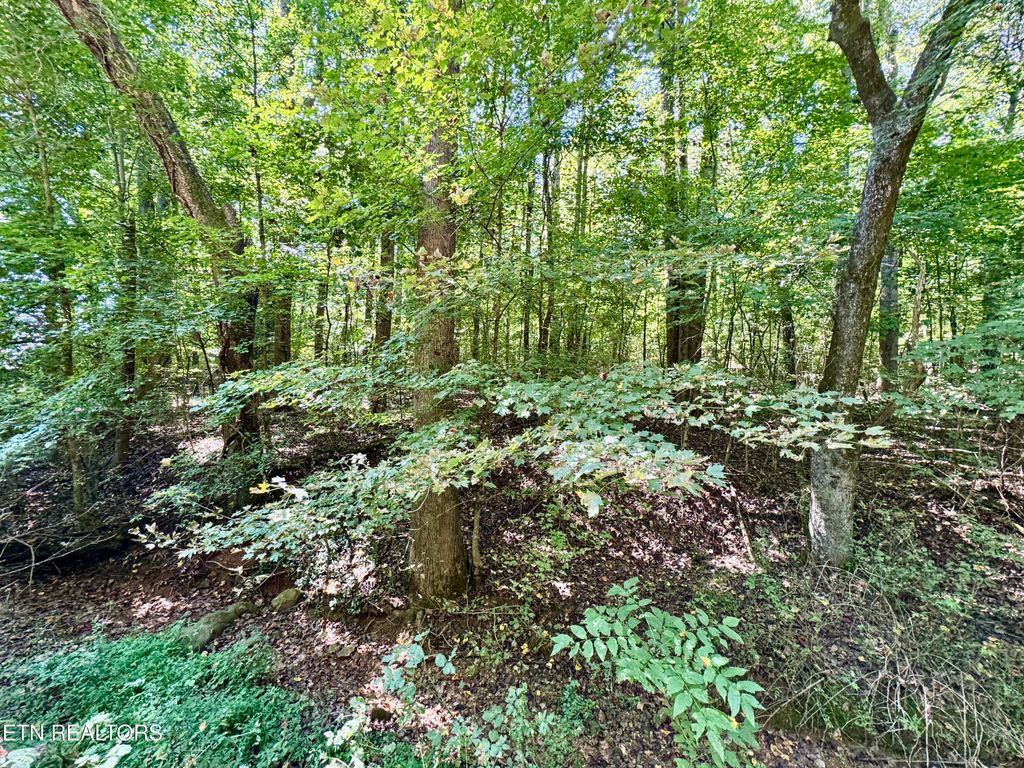 Photo of Randolph Fridley Rd, Sweetwater, TN 37874 (MLS # 1316529)
