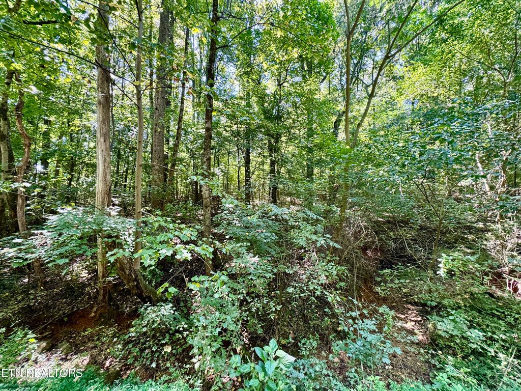Photo of Randolph Fridley Rd, Sweetwater, TN 37874 (MLS # 1316529)