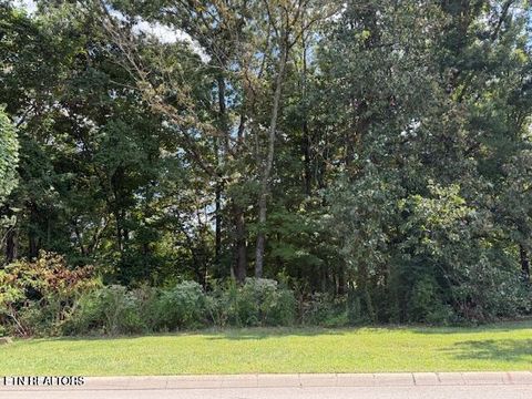 Photo of 4126 Legends Way, Maryville, TN 37801 (MLS # 1349677)