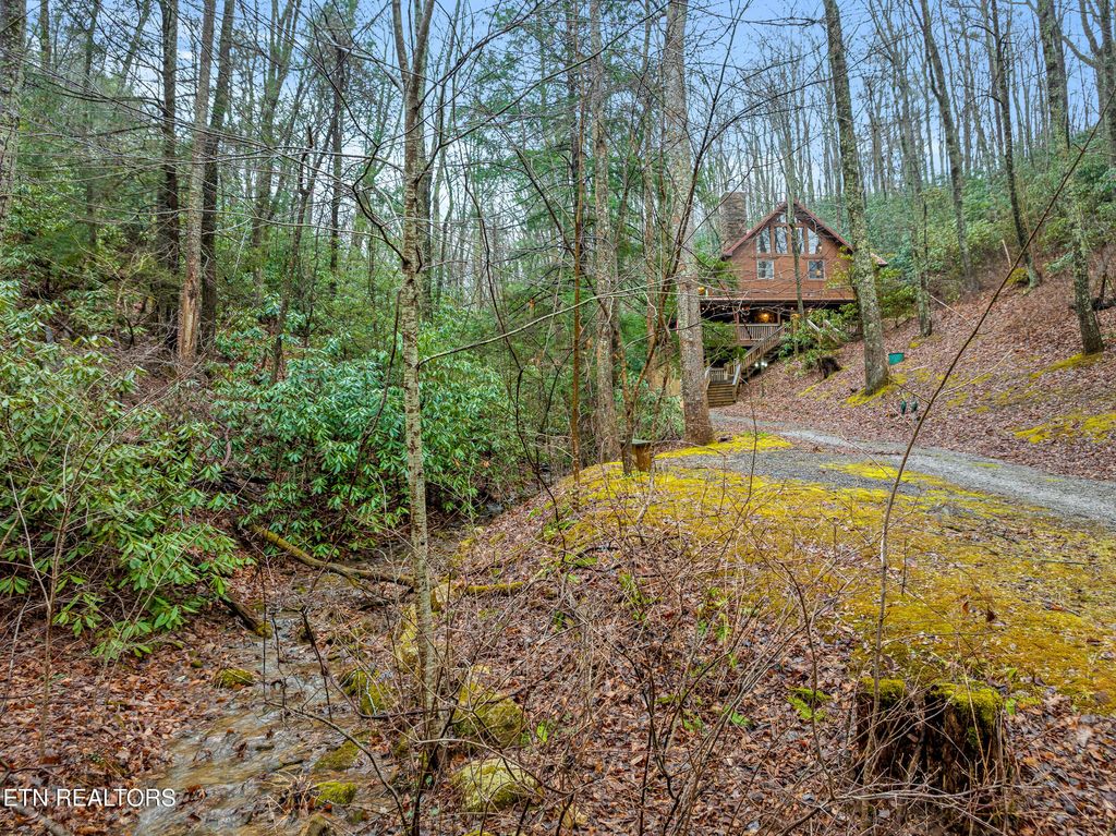 Photo of 3824 Bear Camp Way, Sevierville, TN 37862 (MLS # 1331118)