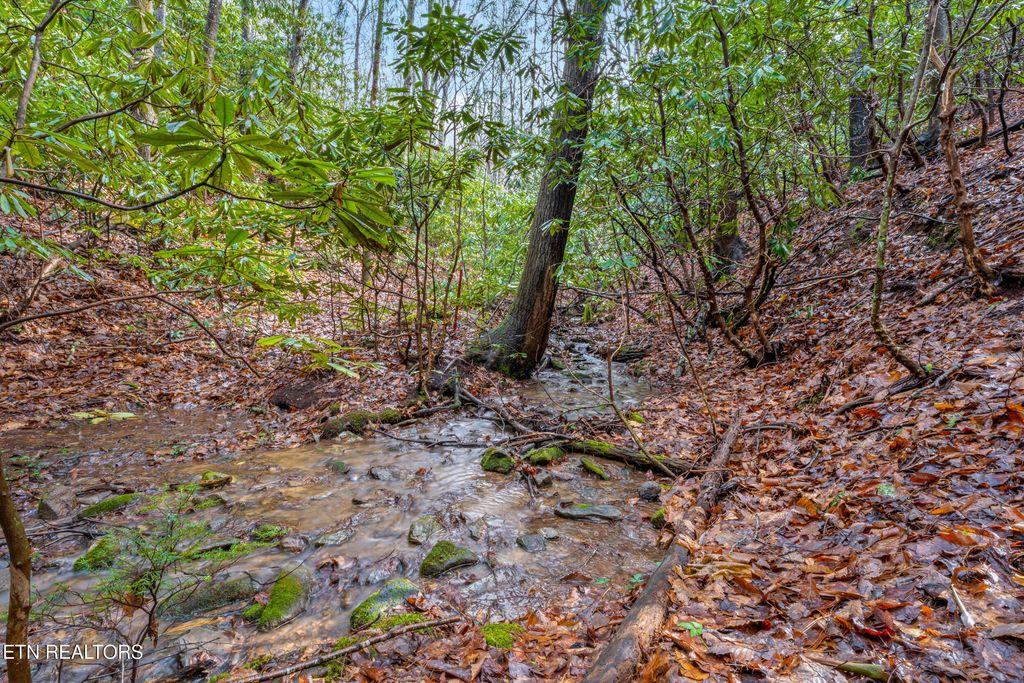 Photo of 3824 Bear Camp Way, Sevierville, TN 37862 (MLS # 1331118)