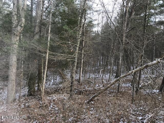 109 004 White Oak Creek