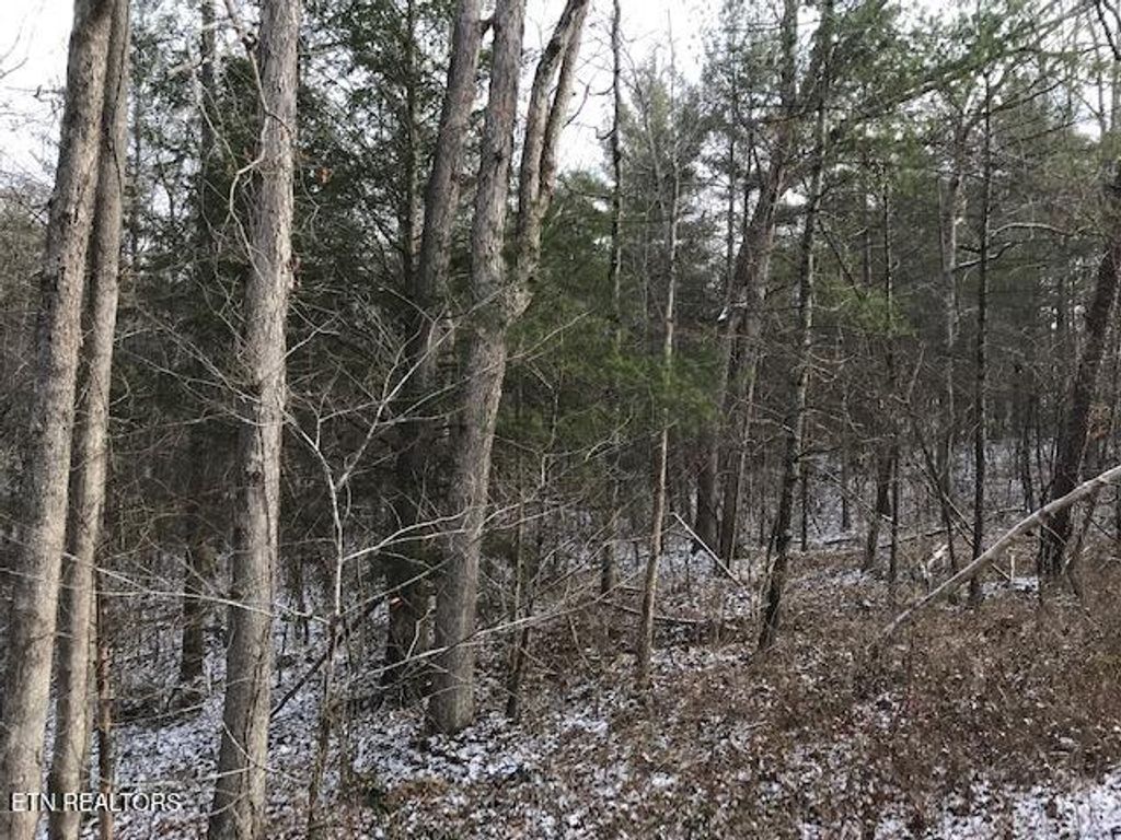 Photo of 109004 White Oak Creek, Robbins, TN 37852 (MLS # 1288756)