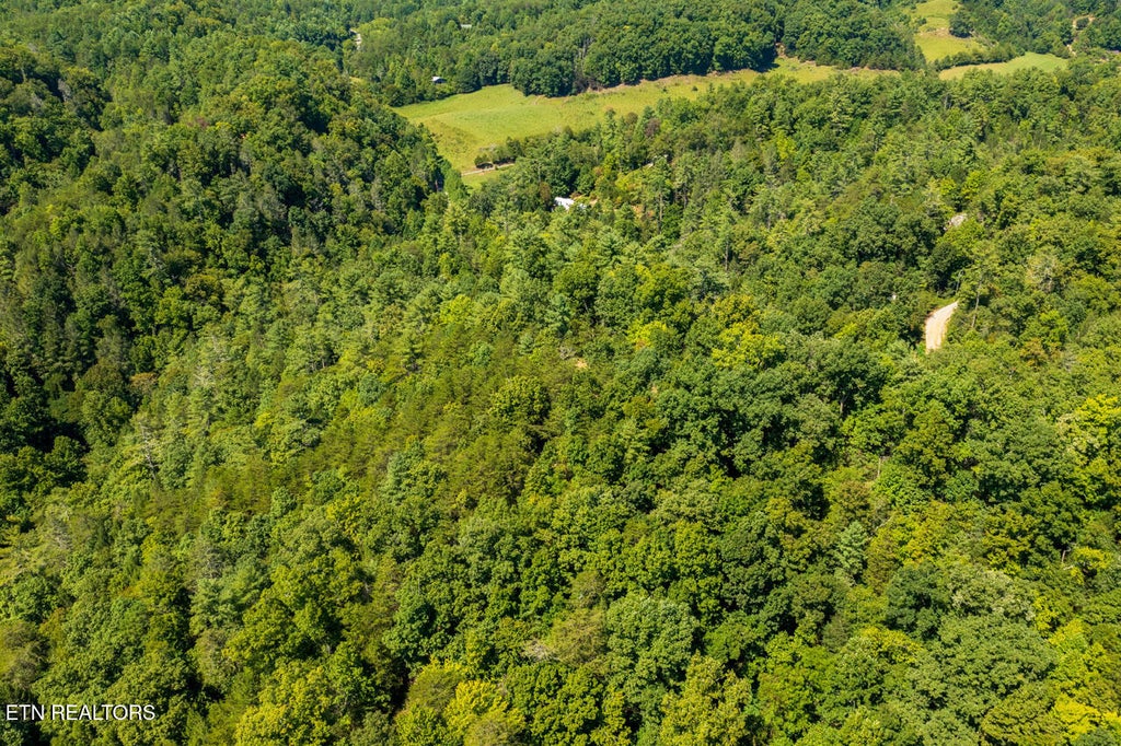 Photo of 0 Yellow Breeches Rd, Cosby, TN 37722 (MLS # 1356790)