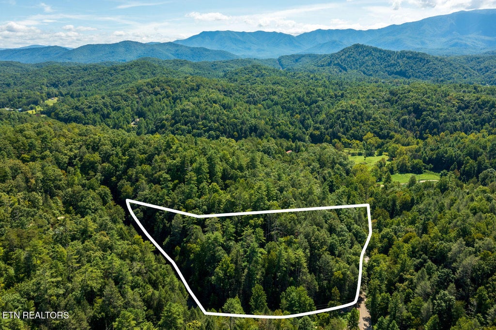 Photo of 0 Yellow Breeches Rd, Cosby, TN 37722 (MLS # 1356790)