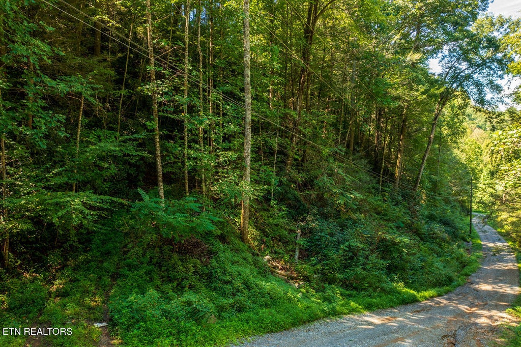 Photo of 0 Yellow Breeches Rd, Cosby, TN 37722 (MLS # 1356790)