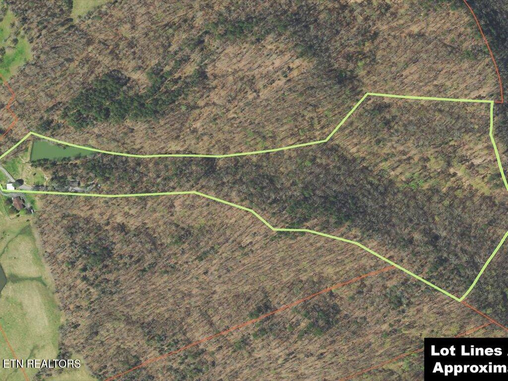 434 Henry Clark Lane