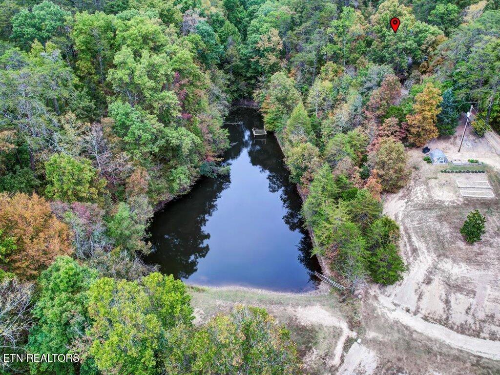 434 Henry Clark Lane