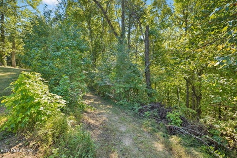 Tiny photo for 1813 Oak Grove Rd, Rocky Top, TN 37769 (MLS # 1357687)