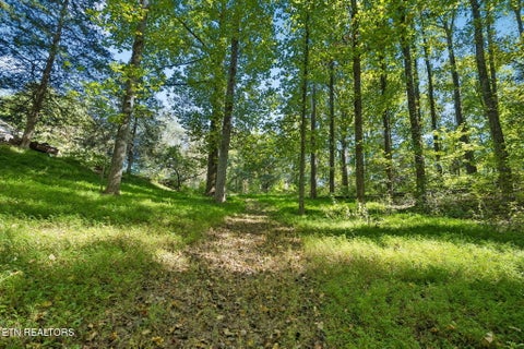 Tiny photo for 1813 Oak Grove Rd, Rocky Top, TN 37769 (MLS # 1357687)
