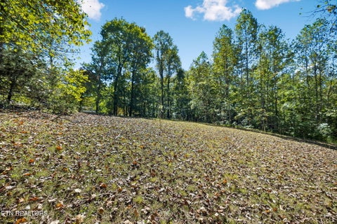 Tiny photo for 1813 Oak Grove Rd, Rocky Top, TN 37769 (MLS # 1357687)