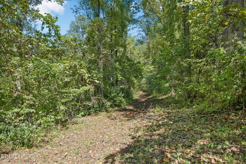 Tiny photo for 1813 Oak Grove Rd, Rocky Top, TN 37769 (MLS # 1357687)