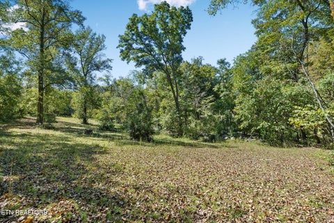 Tiny photo for 1813 Oak Grove Rd, Rocky Top, TN 37769 (MLS # 1357687)